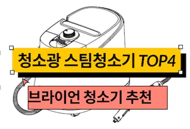 브라이언 청소기