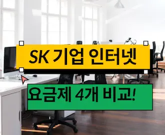 sk 기업 인터넷 전화