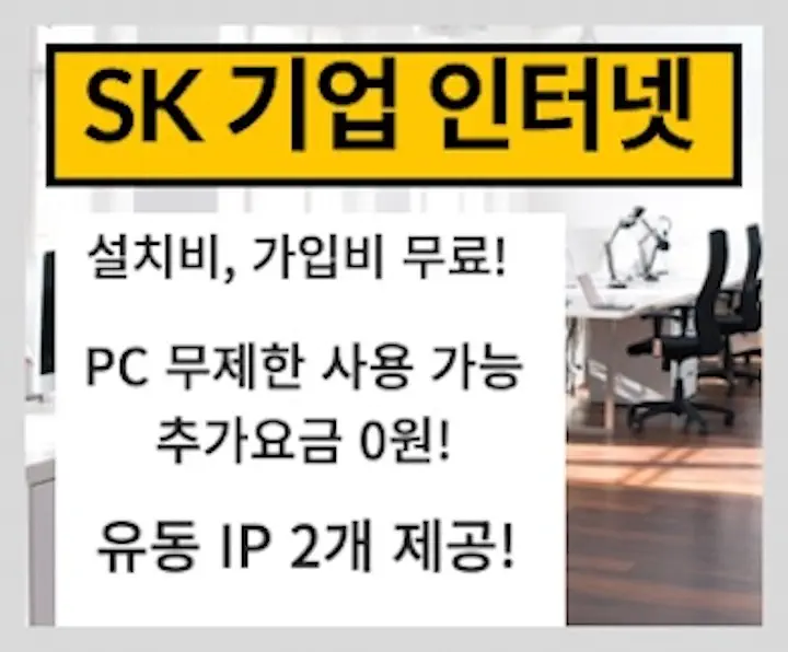 sk 기업 인터넷