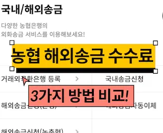 농협 해외송금