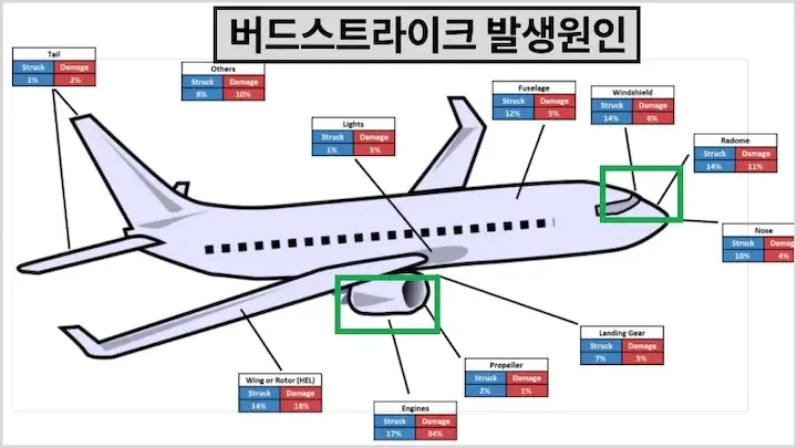 버드스트라이크 발생원인